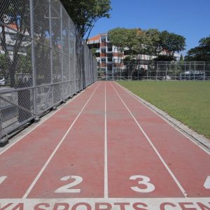 Track Lari